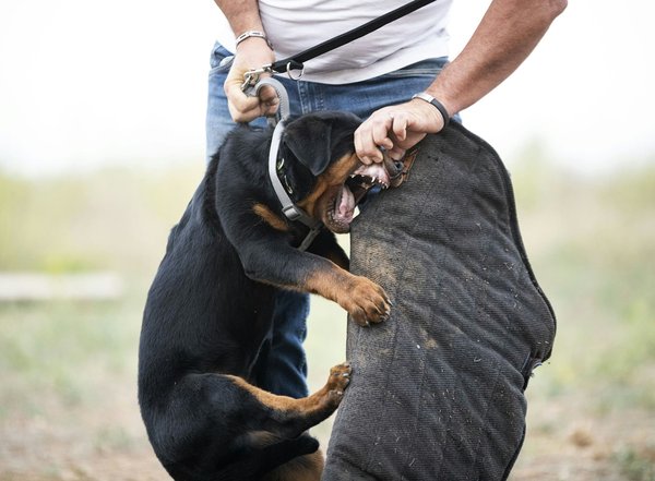 What are the guidelines for safely transporting hazardous materials in personal vehicles?